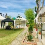 Swiss Cottage Luxury Tents:  Featuring elegant upholstery and modern amenities, these tents add a touch of sophistication to your stay.